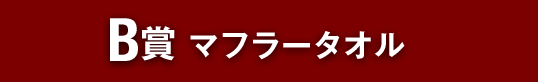 B賞 マフラータオル